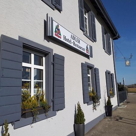 Hotel Landgasthof Adler Bad Krozingen Eksteriør bilde