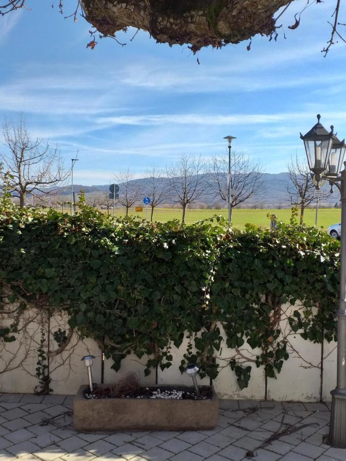 Hotel Landgasthof Adler Bad Krozingen Eksteriør bilde